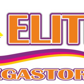 Elitis NEW LOGO 02.12